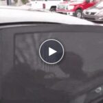 Univerzální clony na boční okna auta – video