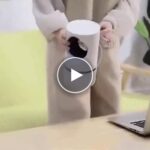 Vysoce účinný lapač komárů – video