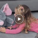 Zpívající slůně – video