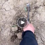 Multifunkční hrábě na plevel – video