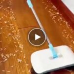 Rotační sběrač nepořádku – video