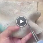 Ruční elektrický škubač peří – video