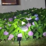 Solární bodové světlo pro venkovní použití – video