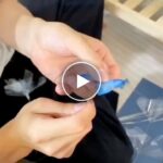 Svítící motýlí kytice – video